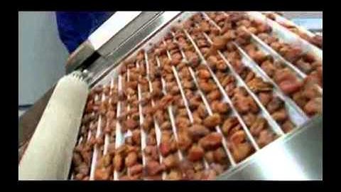 Automatic Date Plam Sorting Machine
