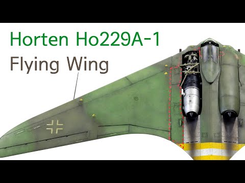 Horten Ho229A-1 Flying Wing (feat. mottling effect)-Plastic model kit Build & Reveal-English Sub