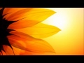Assisting in Your Own Healing by Louise Hay