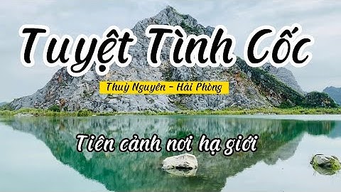 Khám Phá " Tuyệt Tình Cốc " Hải Phòng ll Thiên Đường Sống Ảo Của Giới Trẻ