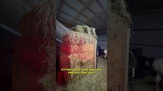 installing tarp in barn
