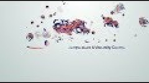 Controlling Orange Peel – Saint Clair Systems | Viscosity & Temperature Control