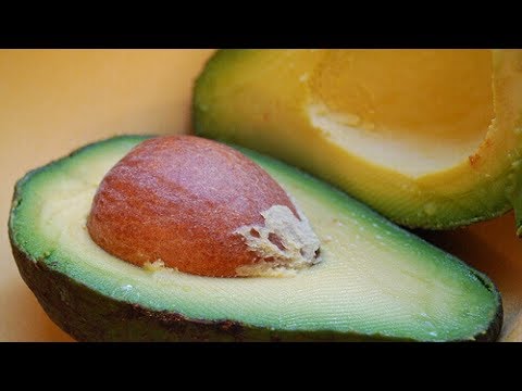 Meer dan 10 redenen om meer avocado te eten