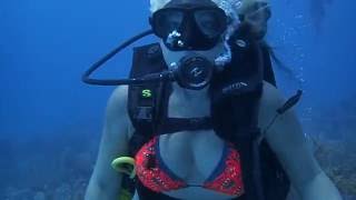 Diving in Puerto Morelos