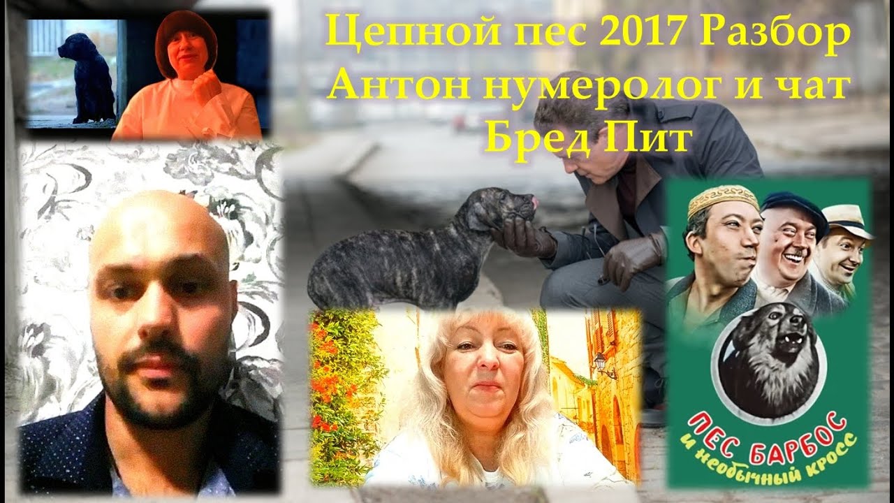 Цепной пес 2017 Разбор Антон нумеролог и чат Бред Пит