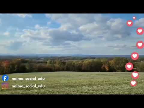 عند غروب الشمس تبدأ حكاية الأمل