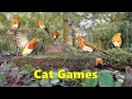 Cat Games 🐈 Where's The Birdie - A Game for Cats Only - Watch at Home with Your Cat