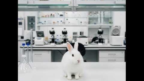 HIF-1α: Unlocking Mammalian Regeneration Through Hypoxia Response