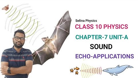ICSE PHYSICS CLASS 10 ||CHAPTER-7 UNIT-A||SOUND||ECHO-CONDITIONS-APPLICATIONS||TYPES OF WAVES||
