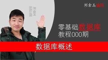 零基础数据库教程000期 为什么要学习数据库？#编程创造城市#刘金玉