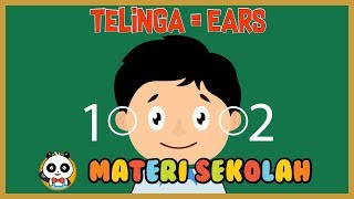 [Video Edukasi Anak] Pembelajaran Untuk Toddler : Panca Indera - Telinga