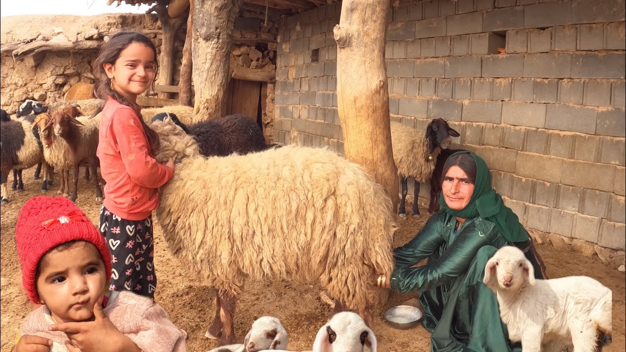 The Last Day of Heaven: Farzin and Farnaz say goodbye to Badamestan and a wonderful birthday! 