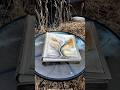Leather album with abstract Tree painting on the cover. Custom name.