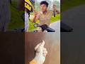 #comedy #viral hand short comedy #funny #yosho comedy