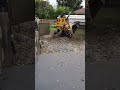 Stump Grinding
