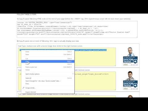 How to Insert DT javascript into WordPress website