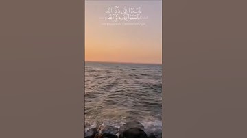 القرآن الكريم ♥اللهم صلي وسلم وبارك على سيدنا محمد 🌺