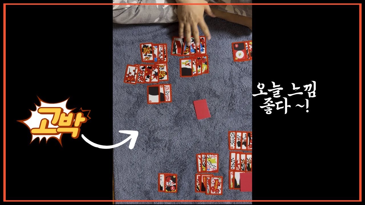 맞고 100점 내기 ! ⚡️# 고스톱 #맞고