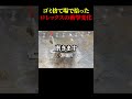 ゴミ捨て場で拾ったロレックスの衝撃変化