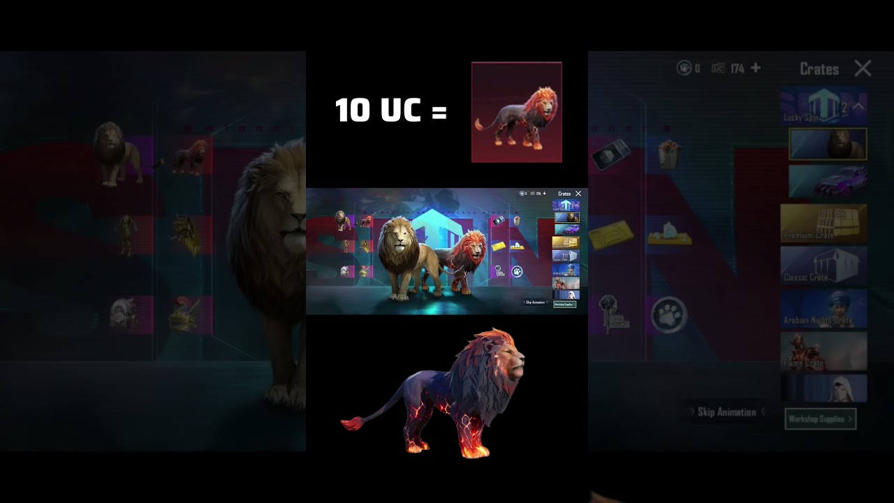 New Mythic Lion Companion in 10 UC 😱