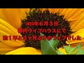 infix  2023年6月3日のライブレポート