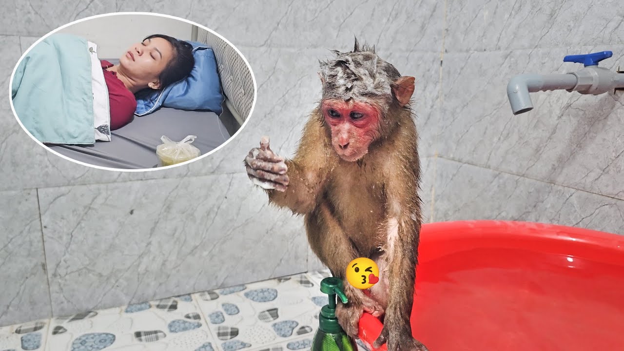 Su Becomes Independent While Mom Sick — A Heartbreaking Yet Beautiful Story ❤️🙊