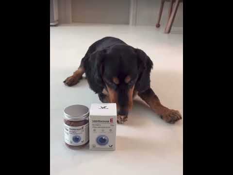 🐾 우리 강아지를 위한 최고의 선택, Vetriformula 영양제! 🐶