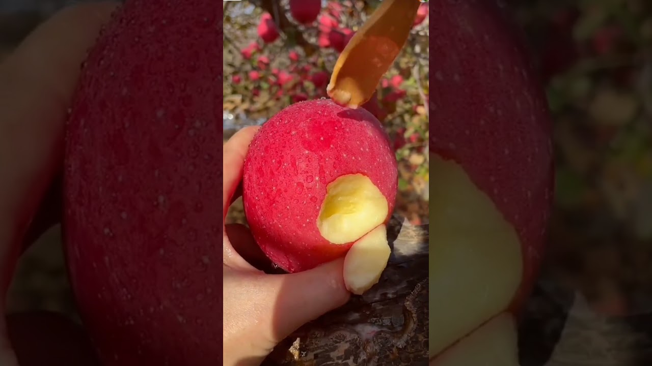 awesome fruits || this is for fruits lover 