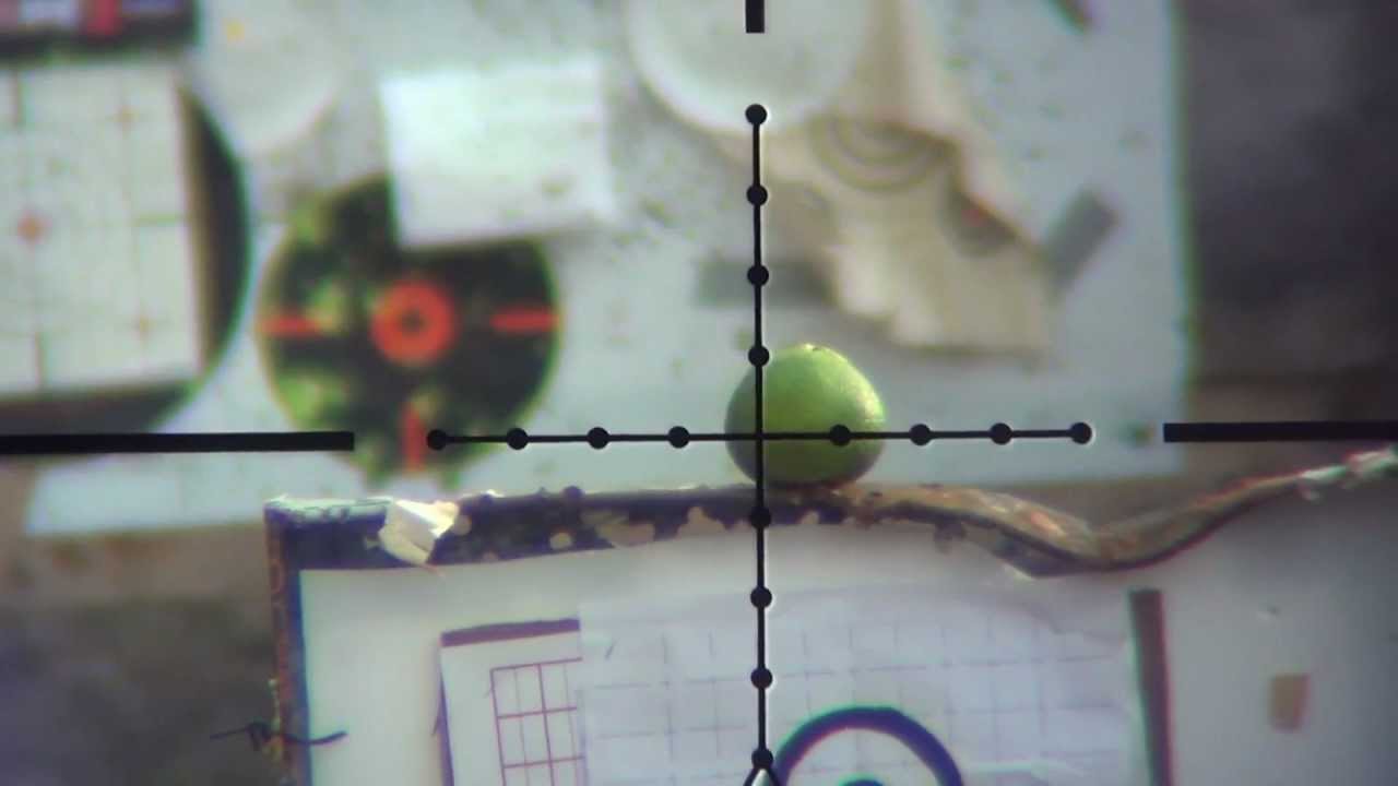 .17hmr slow motion scope cam range day.wmv