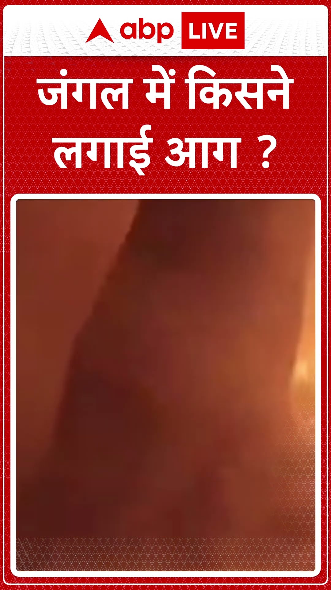 Jammu Kashmir Fire: हंदवाडा के जंगल में लगी आग से मचा हड़कंप, रातभर से आग बुझेना में जुटे कर्मचारी