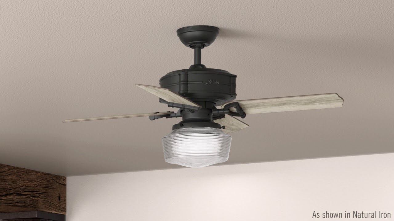 Hunter 52261 44" Brunswick Natural Iron Ceiling Fan with Light with Handheld Remote