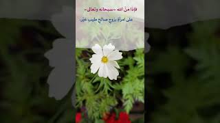 🌿🌼 الزواج نعمة عظيمة تستوجب الشكر .. 🎙️ الشيخ عيسى الشامسي -حفظه الله-