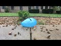 Popping balloons in slo mo part 6 :VERY SATISFYING: