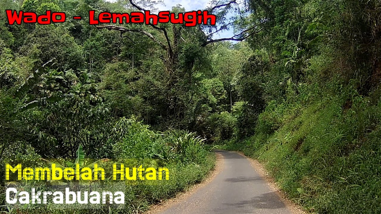 Jalan Pintas Wado Sumedang Ke Lemahsugih Majalengka