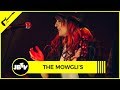 The Mowgli's  - Say It, Just Say It | Live @ JBTV