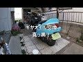 【HONDAマジェスティ】のギヤオイルを交換してみた。