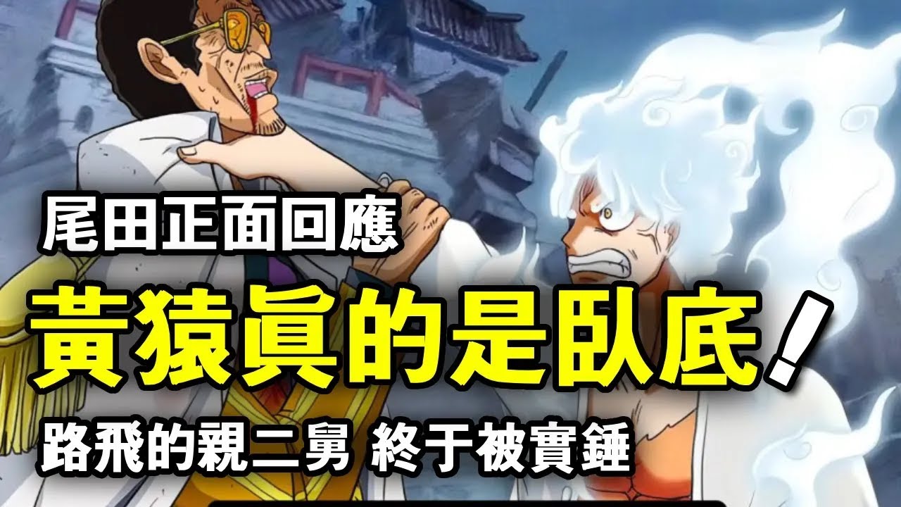 海賊王：尾田正面回應！黃猿真的是臥底！魯夫的親二舅終於被實錘了！ 【千流醬醬】