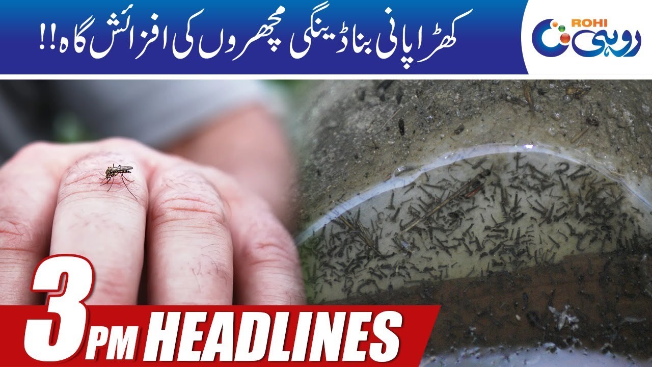 citycell News Headlines | 3:00pm | 4 Oct 2019 | Rohi
