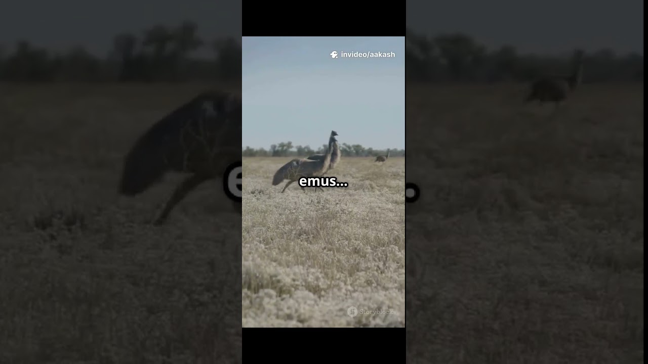 WILDEST HISTORY FACTS