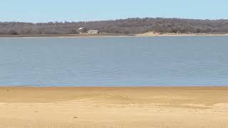 Ginger and Nacho playing at the beach by Maria Moberg 100 views 2 months ago 57 seconds