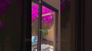 Walnut Creek Townhome Under $1M? Tour 310 Pimlico in Main Chance Estates!