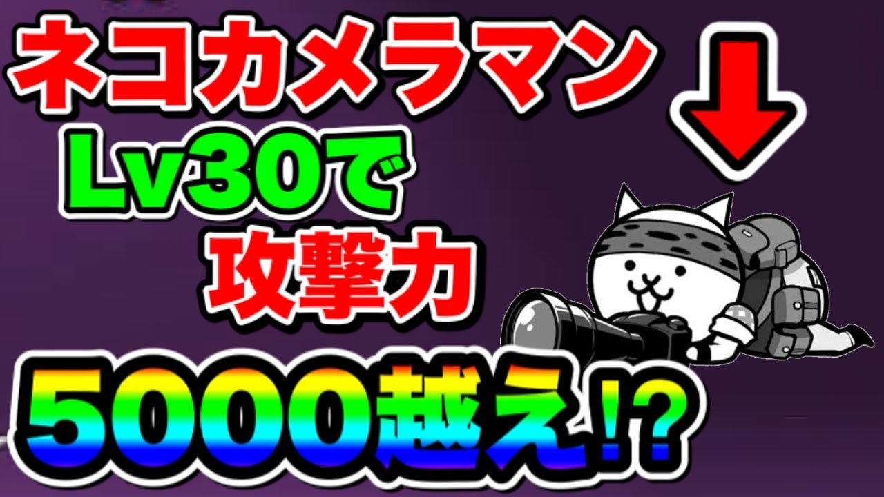 にゃんこ 大 戦争 カメラマン