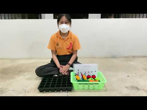 ชุดสื่อ Unplug Coding ชุดการปลุกผักผลไม้