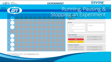 How to Run, Pause & Stop an EVOM™ Auto GXP Experiment