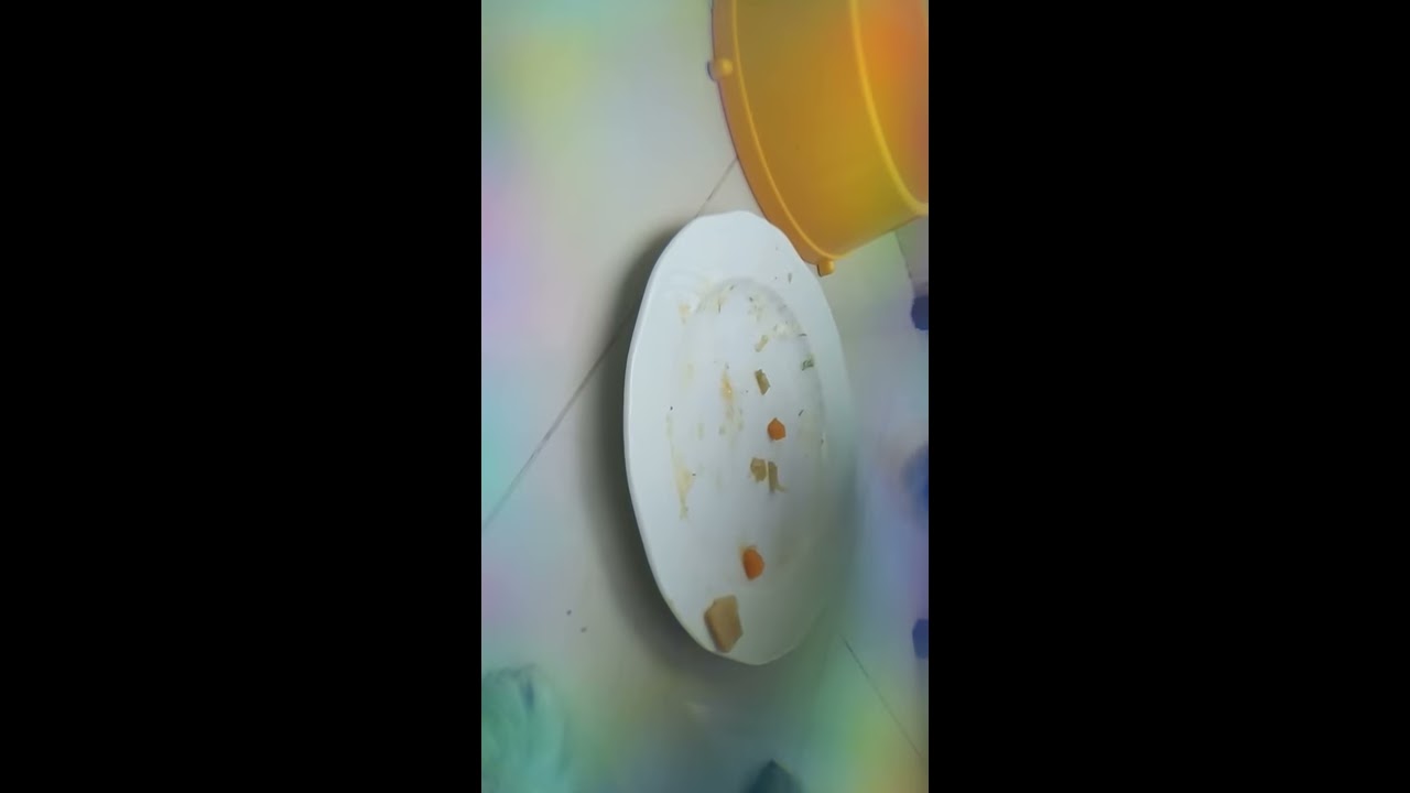 Golden retriever devouring carrot and chicken - YouTube