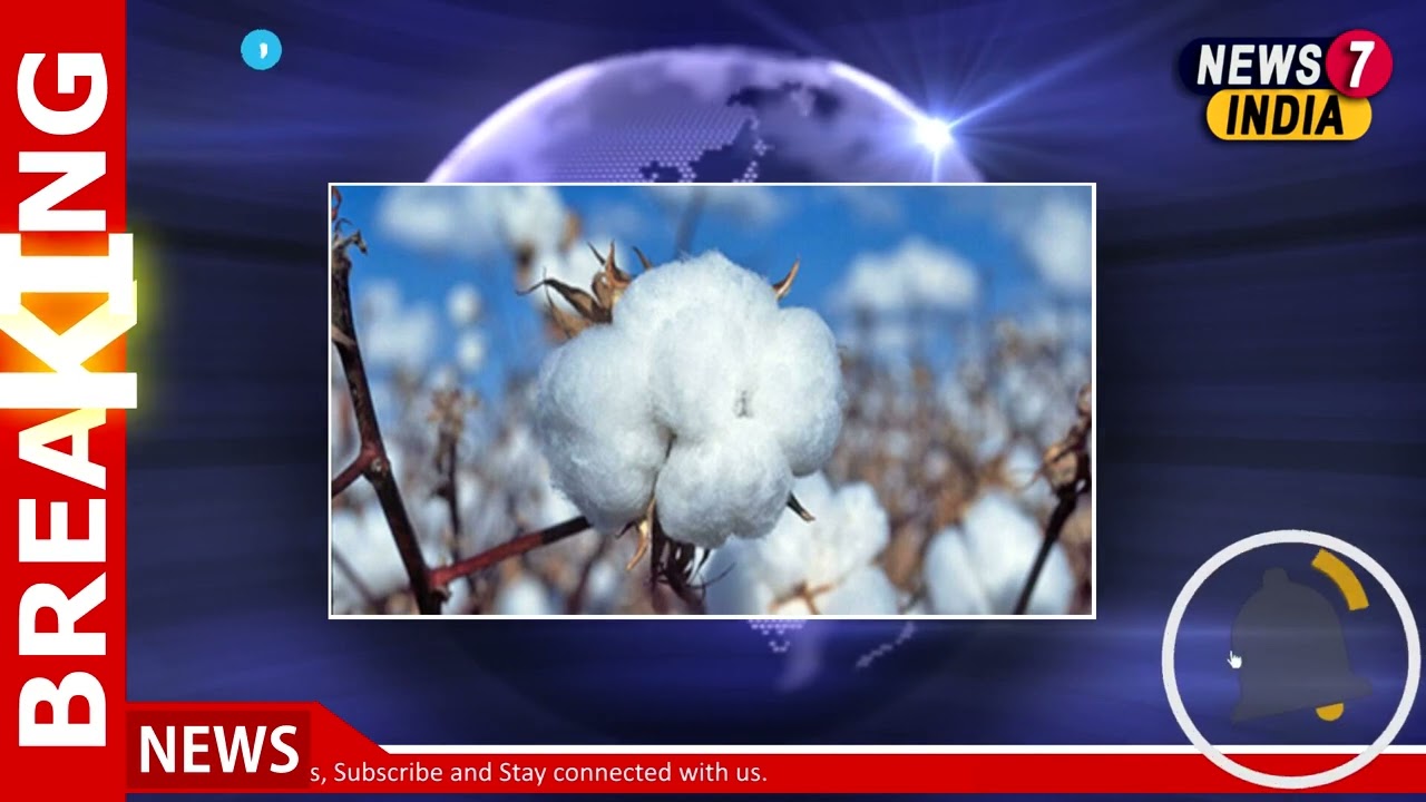 Pakistan yet to decide on lifting of ban on cotton import from India