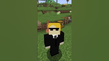 New ATTRIBUTE in 1.21.6!! #minecraft