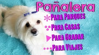 Paalera Actualizada De Mi Perro Coton De Tulear I Lorentix