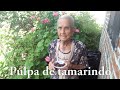 Pulpa de tamarindo tradicional estilo Guerrero | Cocinando con Ninfa