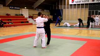 Sensei Anders Pedersen 4 Dan Teaching Balance Breaking